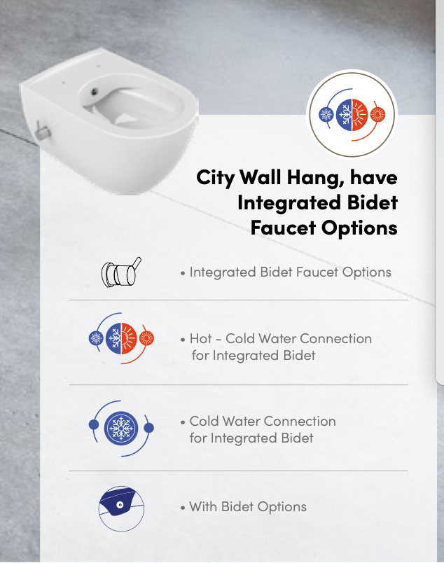 City Wall Hung Hot & Cold Mixer Bidet Wall Hung Toilet