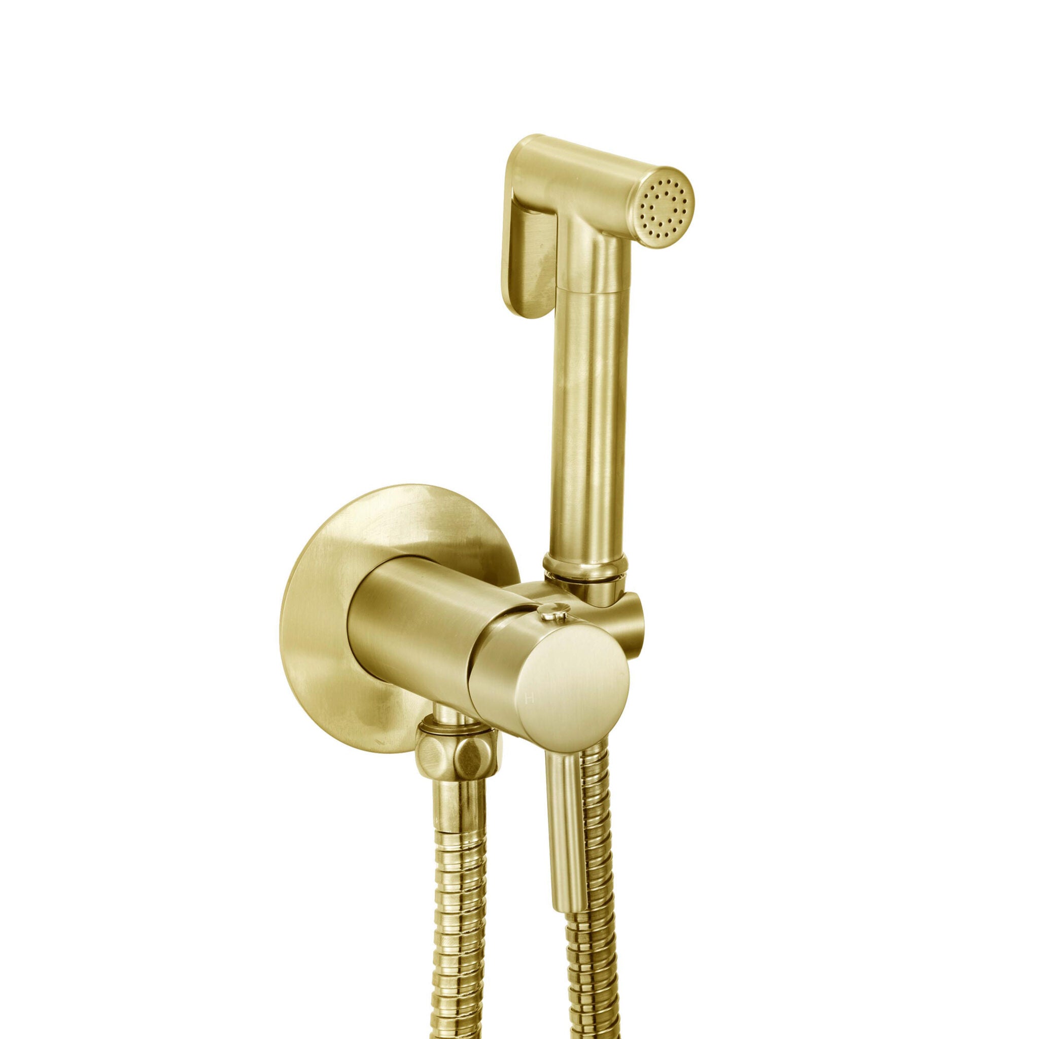 Douche Handset, Flexi, Holder and Outlet Elbow