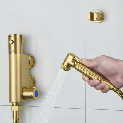 Novo Exposed  Bidet Mixing Doutche Set Brushed Brass