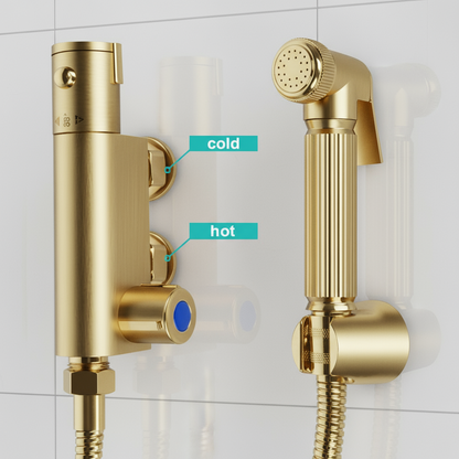 Novo Exposed  Bidet Mixing Doutche Set Brushed Brass
