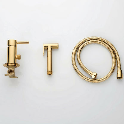 Novo Concealed  Bidet Mixing Doutche Set Brushed Brass