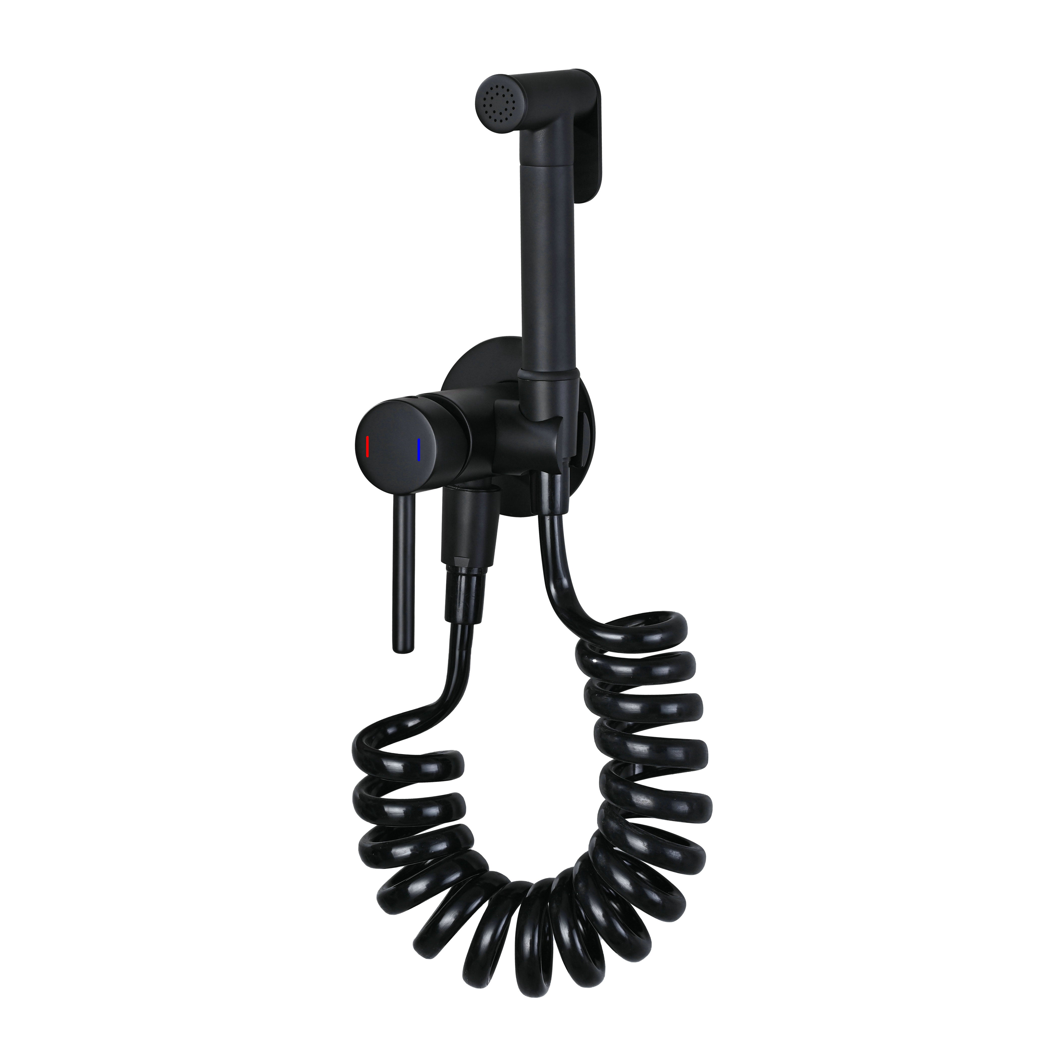 Novo Concealed  Bidet Mixing Doutche Set Matt Black