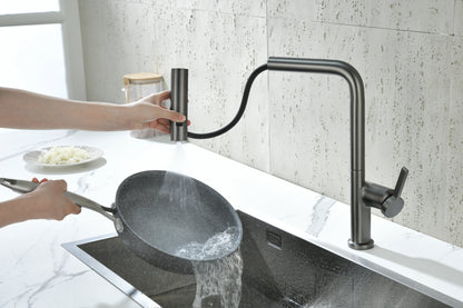 Novo HTC Kitchen Mixer Tap Multi Spray GUN METAL