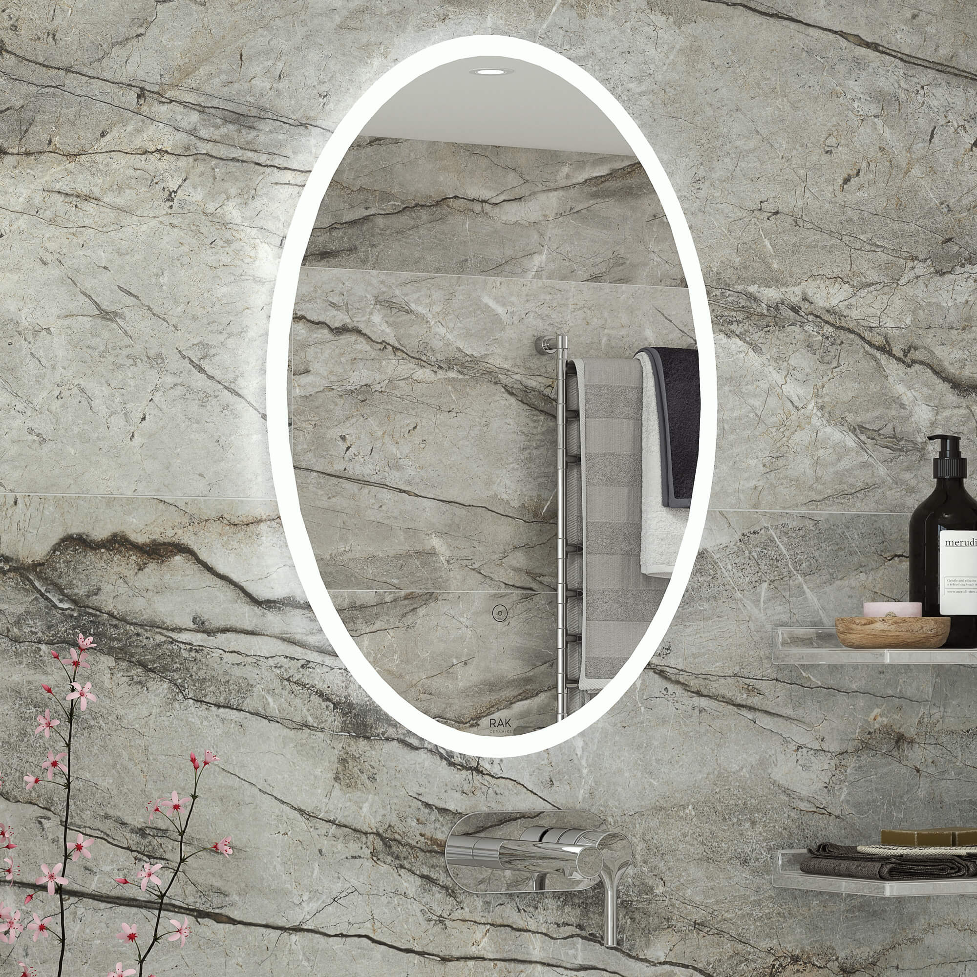 Rak Ovale LED Illuminated Portrait Mirror